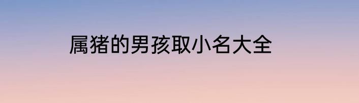 属猪的男孩取小名大全