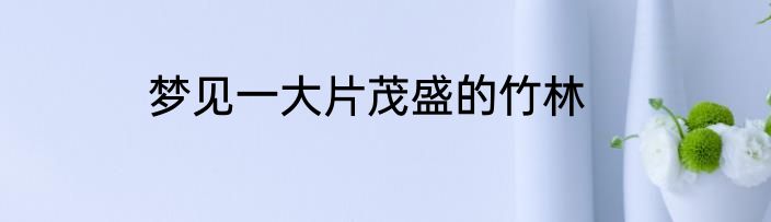 梦见一大片茂盛的竹林