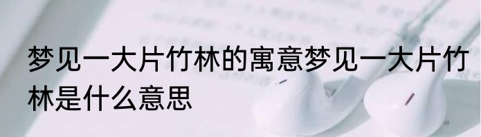 梦见一大片竹林的寓意梦见一大片竹林是什么意思