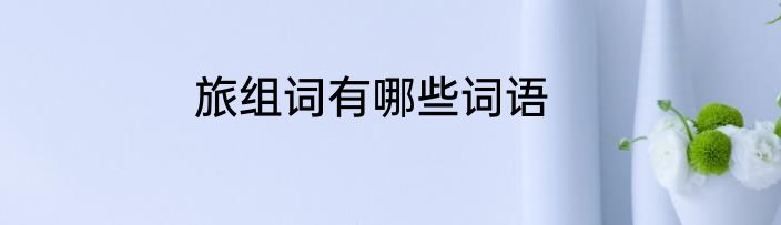 旅组词有哪些词语