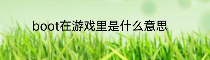boot在游戏里是什么意思