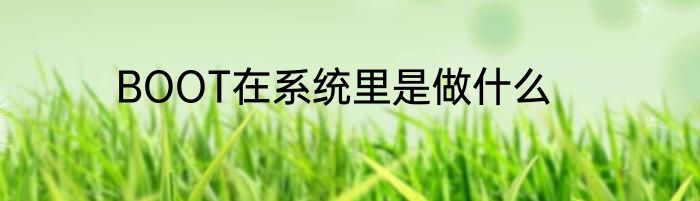 BOOT在系统里是做什么