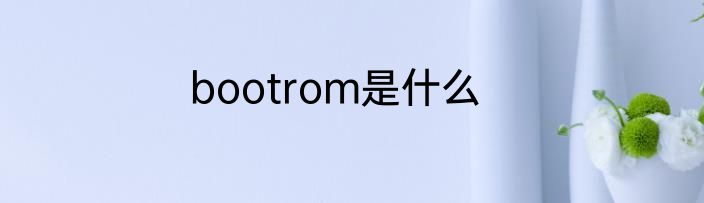 bootrom是什么