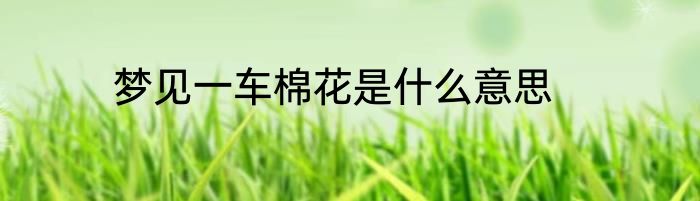 梦见一车棉花是什么意思