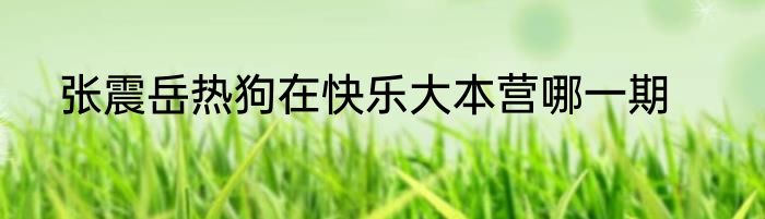 张震岳热狗在快乐大本营哪一期