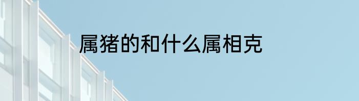 属猪的和什么属相克