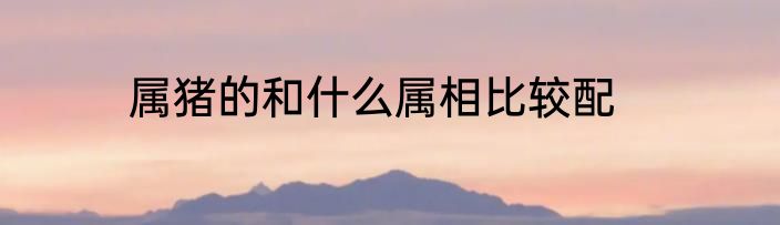 属猪的和什么属相比较配