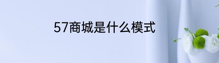 57商城是什么模式