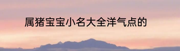 属猪宝宝小名大全洋气点的