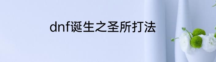 dnf诞生之圣所打法