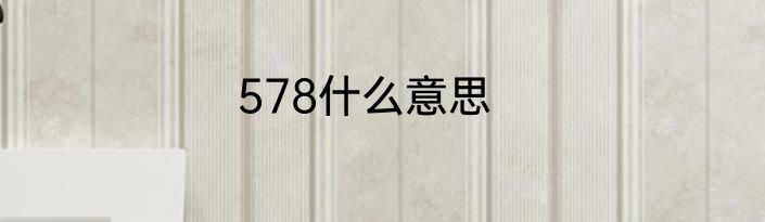 578什么意思