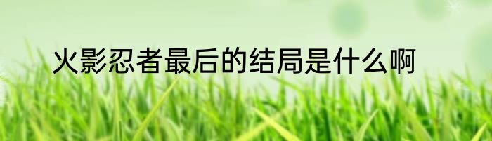火影忍者最后的结局是什么啊
