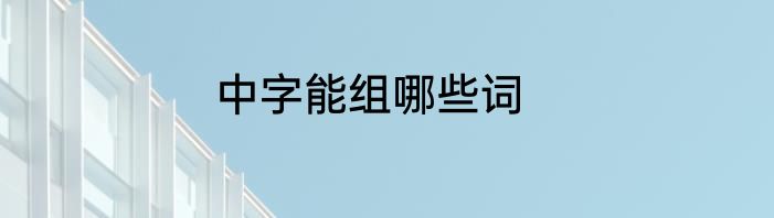 中字能组哪些词