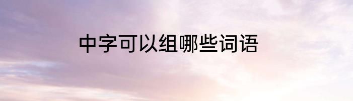 中字可以组哪些词语