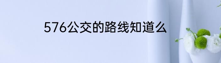 576公交的路线知道么