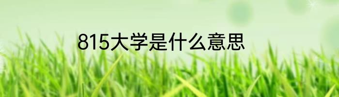 815大学是什么意思
