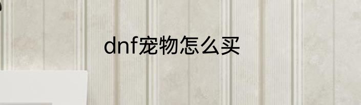 dnf宠物怎么买