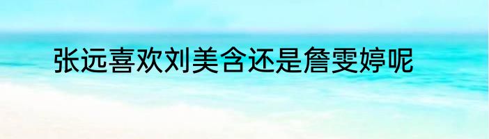 张远喜欢刘美含还是詹雯婷呢