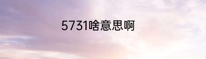 5731啥意思啊