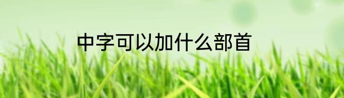 中字可以加什么部首