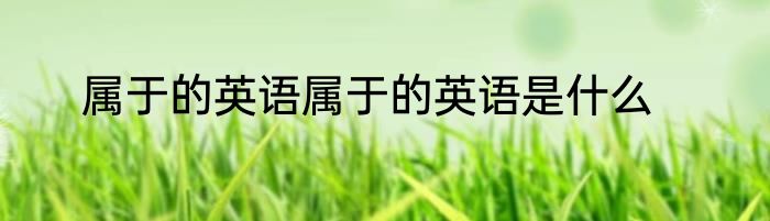 属于的英语属于的英语是什么
