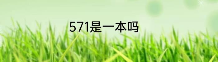 571是一本吗