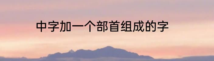 中字加一个部首组成的字