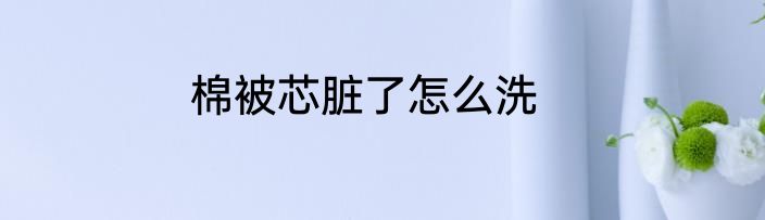 棉被芯脏了怎么洗