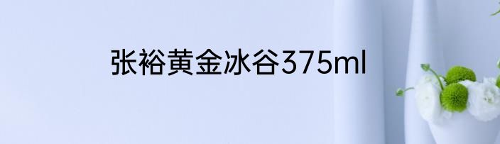 张裕黄金冰谷375ml