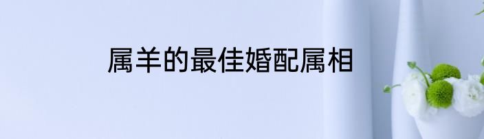 属羊的最佳婚配属相