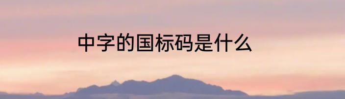 中字的国标码是什么