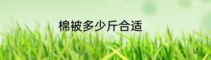 棉被多少斤合适
