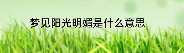梦见阳光明媚是什么意思