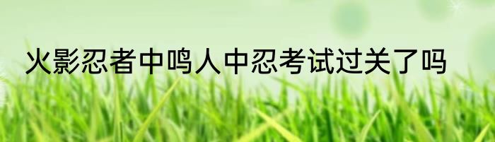 火影忍者中鸣人中忍考试过关了吗
