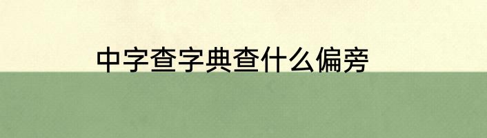 中字查字典查什么偏旁