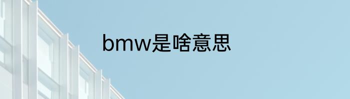 bmw是啥意思