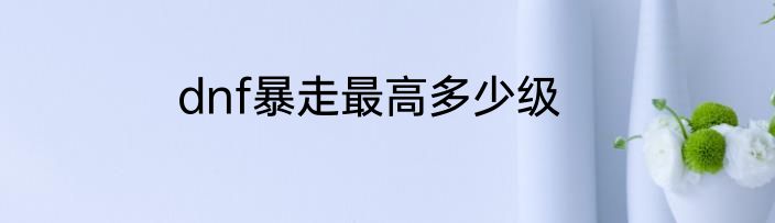 dnf暴走最高多少级