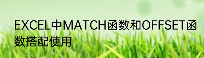 EXCEL中MATCH函数和OFFSET函数搭配使用