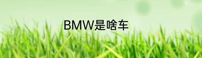 BMW是啥车