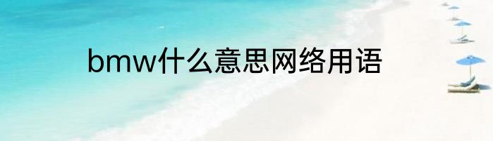 bmw什么意思网络用语