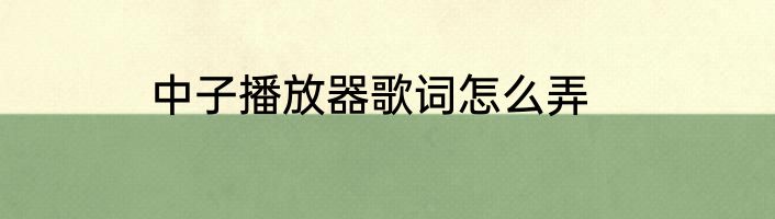 中子播放器歌词怎么弄