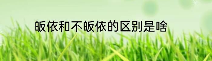皈依和不皈依的区别是啥