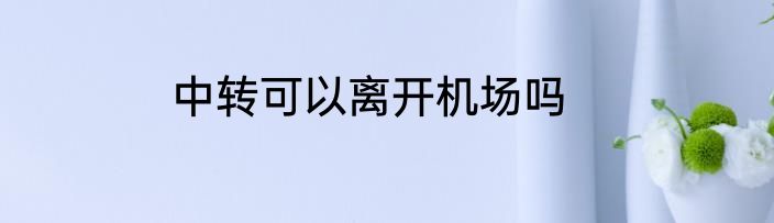 中转可以离开机场吗