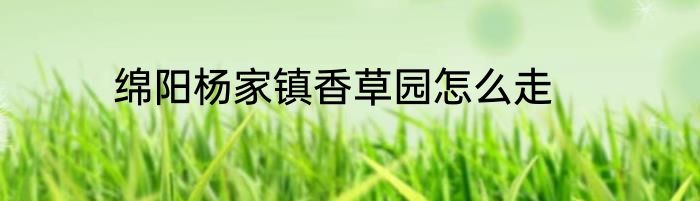 绵阳杨家镇香草园怎么走