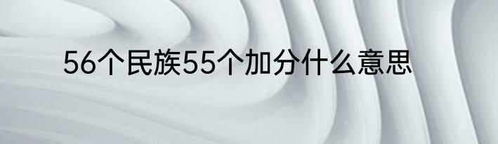 56个民族55个加分什么意思