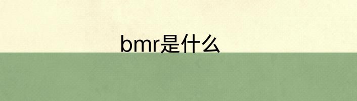 bmr是什么
