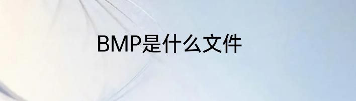 BMP是什么文件