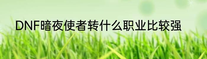 DNF暗夜使者转什么职业比较强