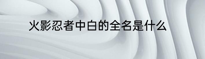 火影忍者中白的全名是什么