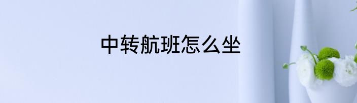 中转航班怎么坐